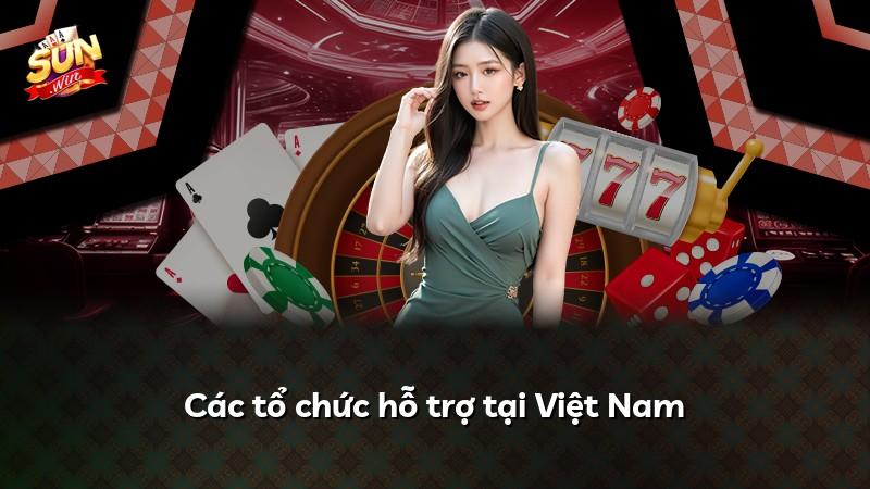 Các tổ chức hỗ trợ tại Việt Nam